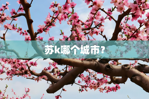 信息 第22页