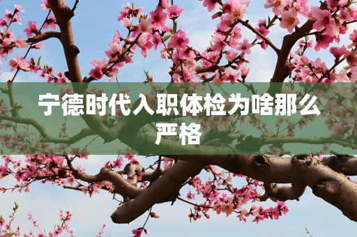 宁德时代入职体检为啥那么严格