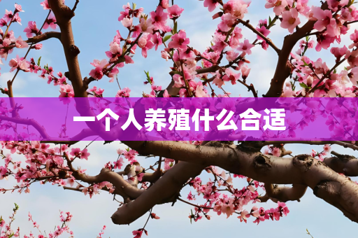一个人养殖什么合适