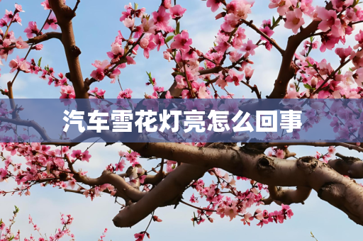 汽车雪花灯亮怎么回事
