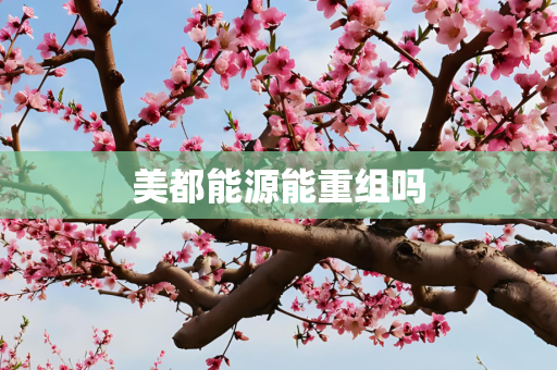美都能源能重组吗