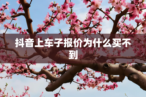 抖音上车子报价为什么买不到