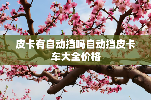 皮卡有自动挡吗自动挡皮卡车大全价格