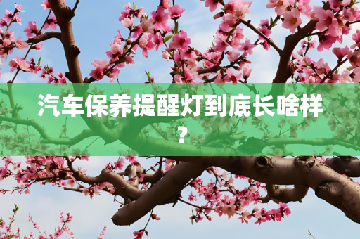 汽车保养提醒灯到底长啥样？