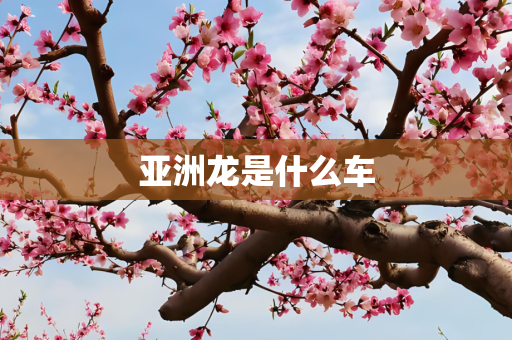 亚洲龙是什么车