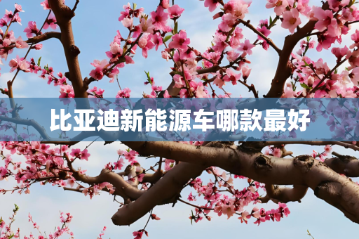 比亚迪新能源车哪款最好