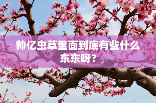 帅亿虫草里面到底有些什么东东呀？