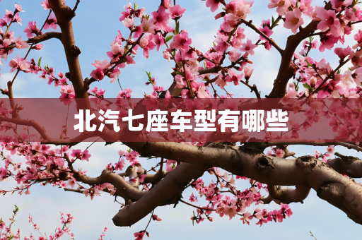 北汽七座车型有哪些