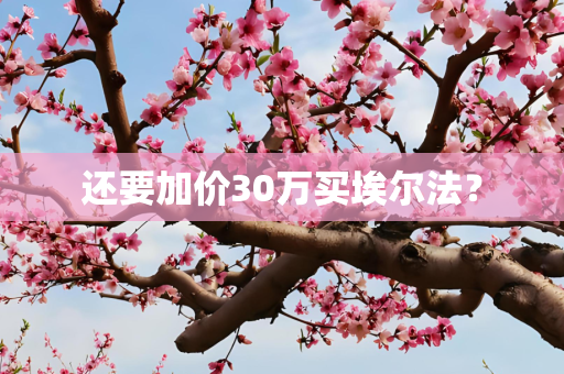 还要加价30万买埃尔法？
