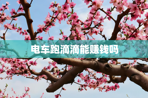 电车跑滴滴能赚钱吗