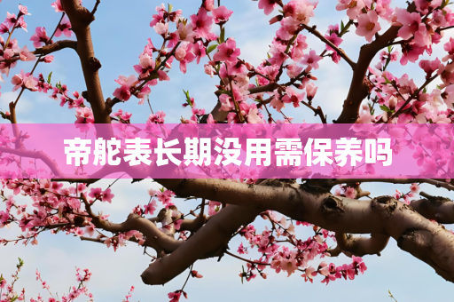 帝舵表长期没用需保养吗