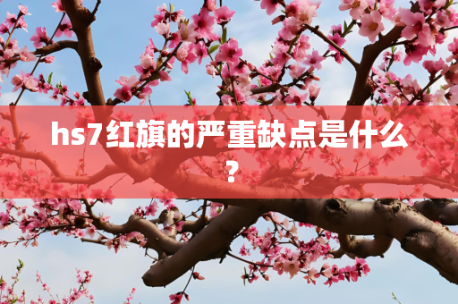hs7红旗的严重缺点是什么？