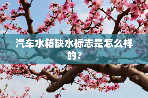 汽车水箱缺水标志是怎么样的？