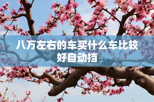 八万左右的车买什么车比较好自动挡