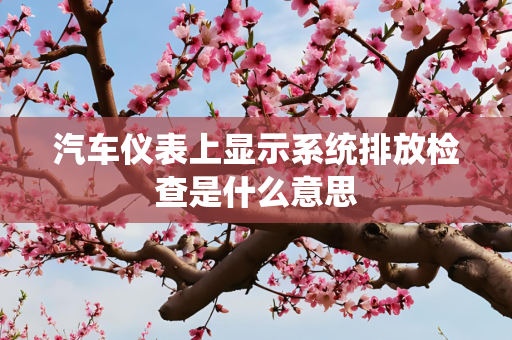 汽车仪表上显示系统排放检查是什么意思