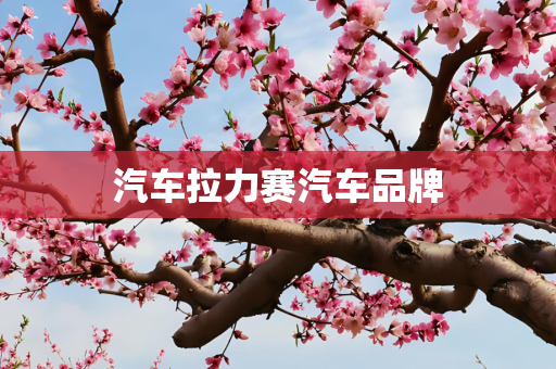 汽车拉力赛汽车品牌