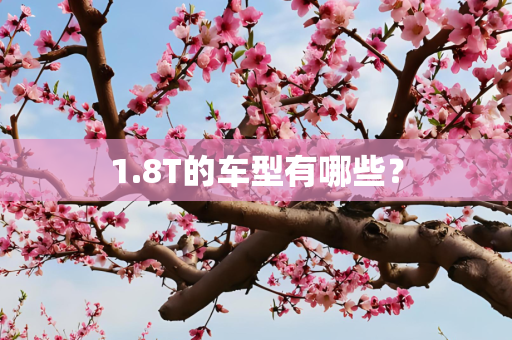 1.8T的车型有哪些？