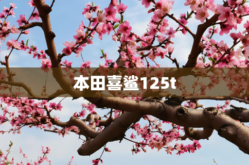 本田喜鲨125t