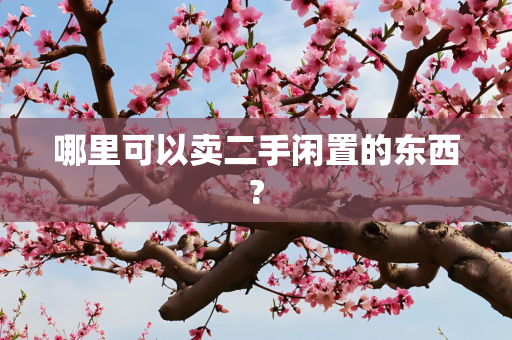 哪里可以卖二手闲置的东西?