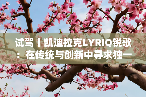 试驾｜凯迪拉克LYRIQ锐歌：在传统与创新中寻求独一无二