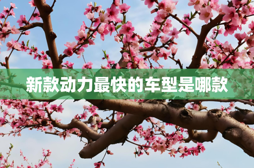 新款动力最快的车型是哪款
