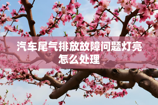汽车尾气排放故障问题灯亮怎么处理