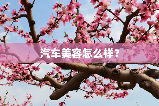 汽车美容怎么样？