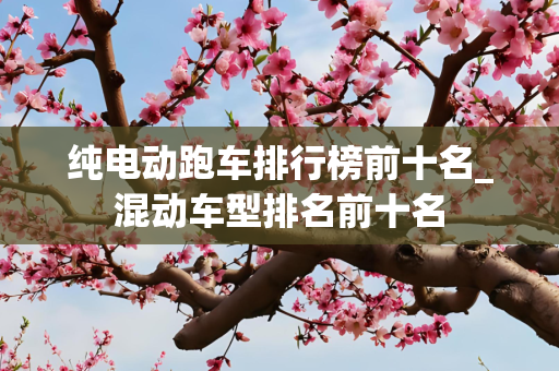 纯电动跑车排行榜前十名_混动车型排名前十名