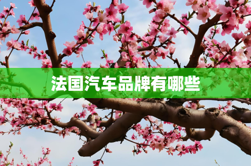 法国汽车品牌有哪些