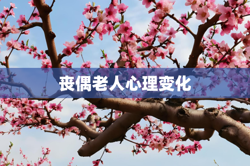 丧偶老人心理变化
