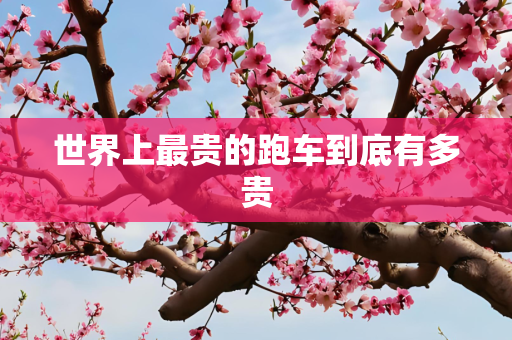 世界上最贵的跑车到底有多贵
