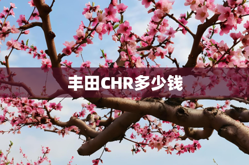 丰田CHR多少钱