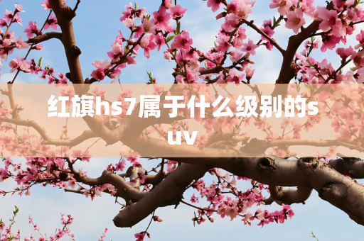 红旗hs7属于什么级别的suv