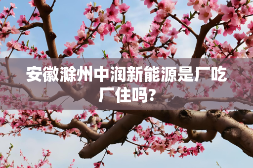 安徽滁州中润新能源是厂吃厂住吗?
