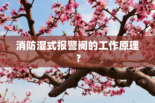 消防湿式报警阀的工作原理？