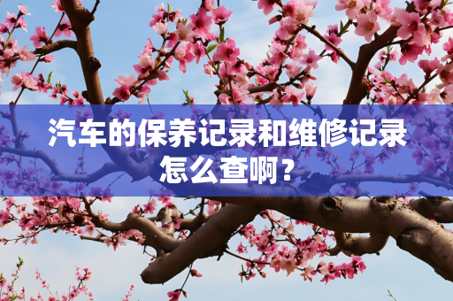汽车的保养记录和维修记录怎么查啊？