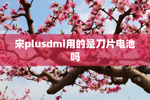 宋plusdmi用的是刀片电池吗