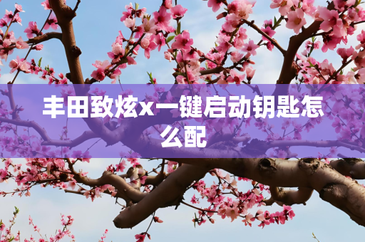 丰田致炫x一键启动钥匙怎么配
