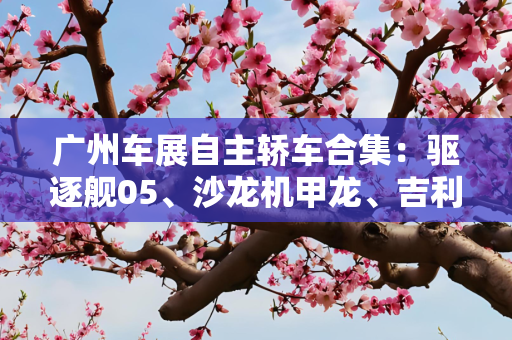 广州车展自主轿车合集：驱逐舰05、沙龙机甲龙、吉利星瑞