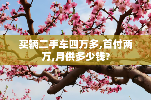 买辆二手车四万多,首付两万,月供多少钱?
