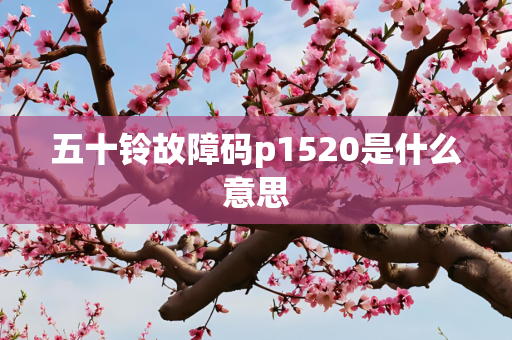 五十铃故障码p1520是什么意思