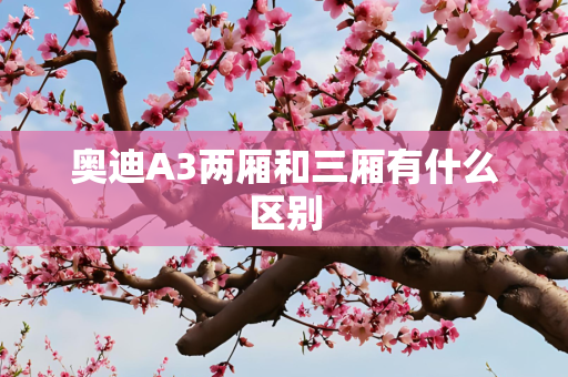 奥迪A3两厢和三厢有什么区别