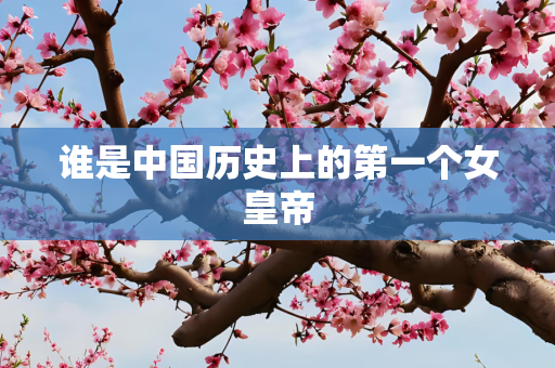 谁是中国历史上的第一个女皇帝