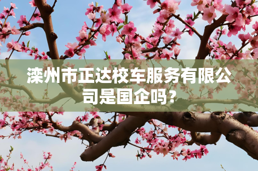 滦州市正达校车服务有限公司是国企吗？