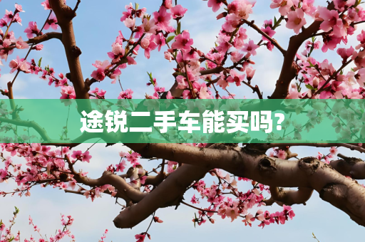 途锐二手车能买吗?