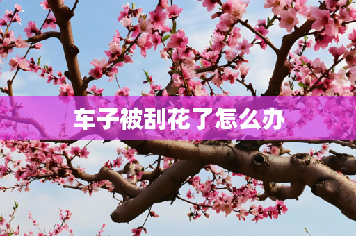 车子被刮花了怎么办