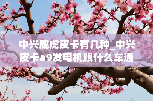 中兴威虎皮卡有几种_中兴皮卡a9发电机跟什么车通用