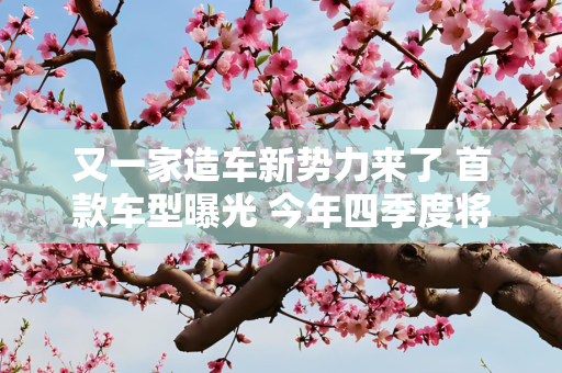 又一家造车新势力来了 首款车型曝光 今年四季度将下线