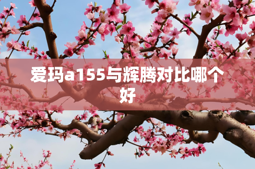 爱玛a155与辉腾对比哪个好