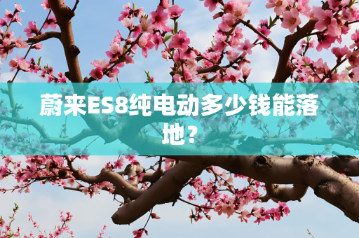 蔚来ES8纯电动多少钱能落地？